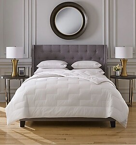 Sferra Parson Alpaca Wool Filled Quilts and Pillows