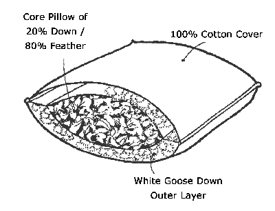 Chateau Down & Feather Pillow by St. Geneve